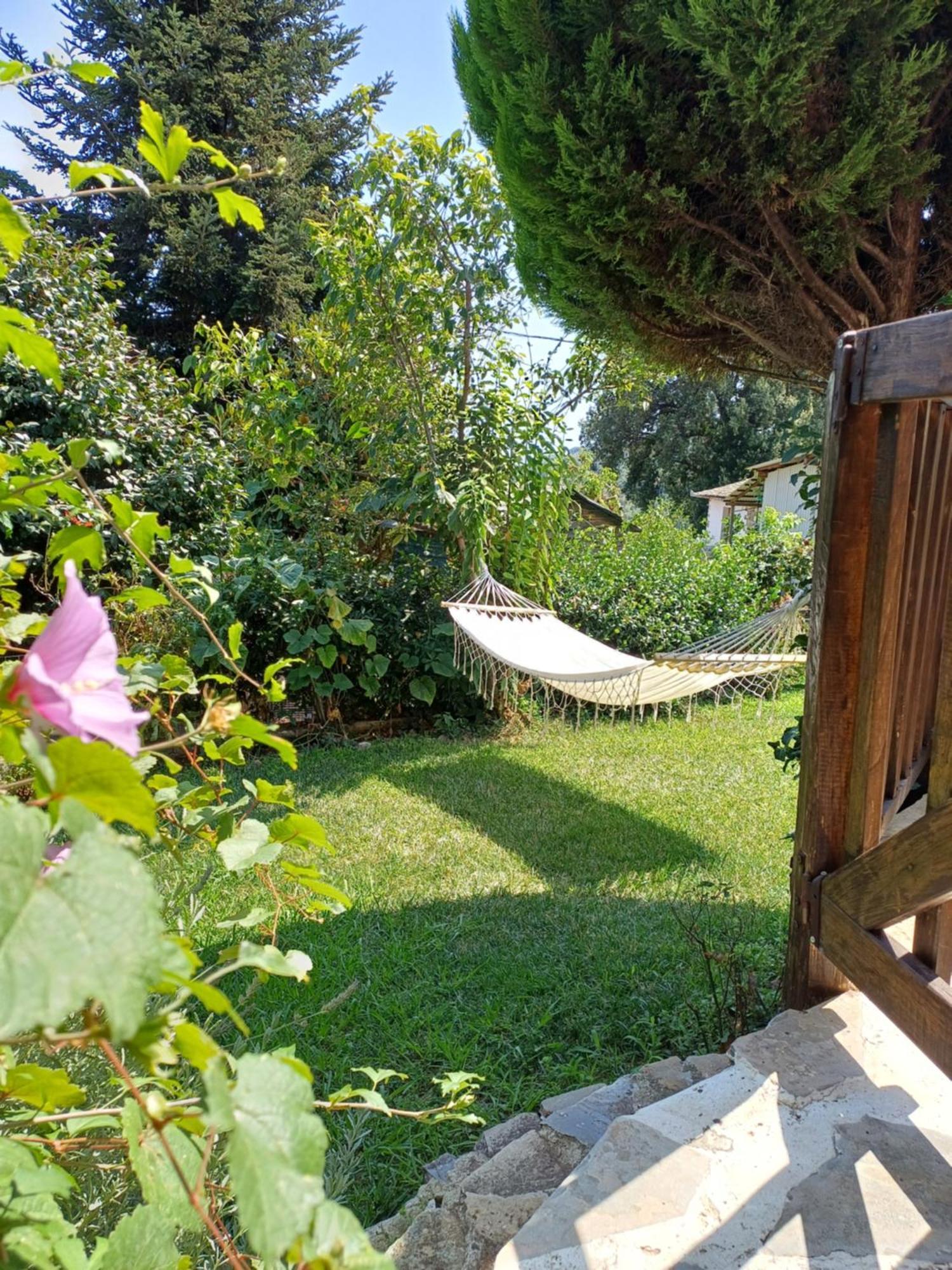 Efi'S Guest House Áyios Dhimítrios 外观 照片