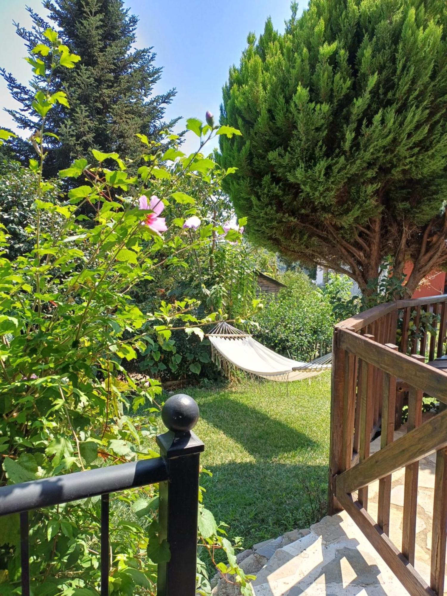 Efi'S Guest House Áyios Dhimítrios 外观 照片