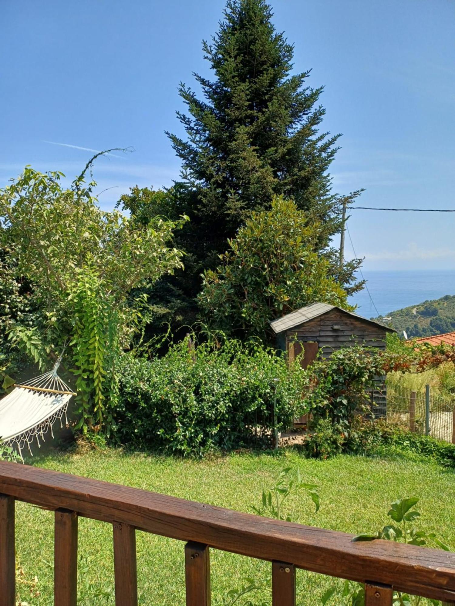 Efi'S Guest House Áyios Dhimítrios 外观 照片