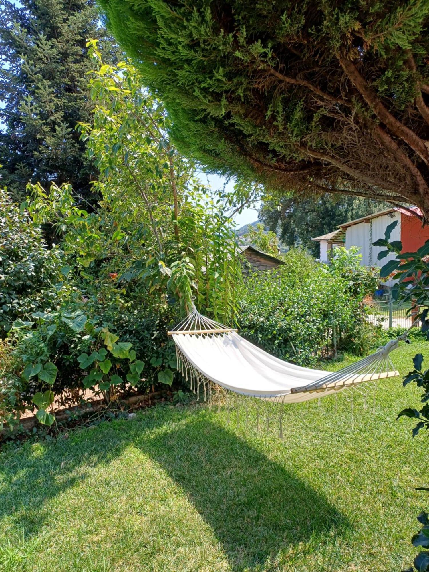 Efi'S Guest House Áyios Dhimítrios 外观 照片